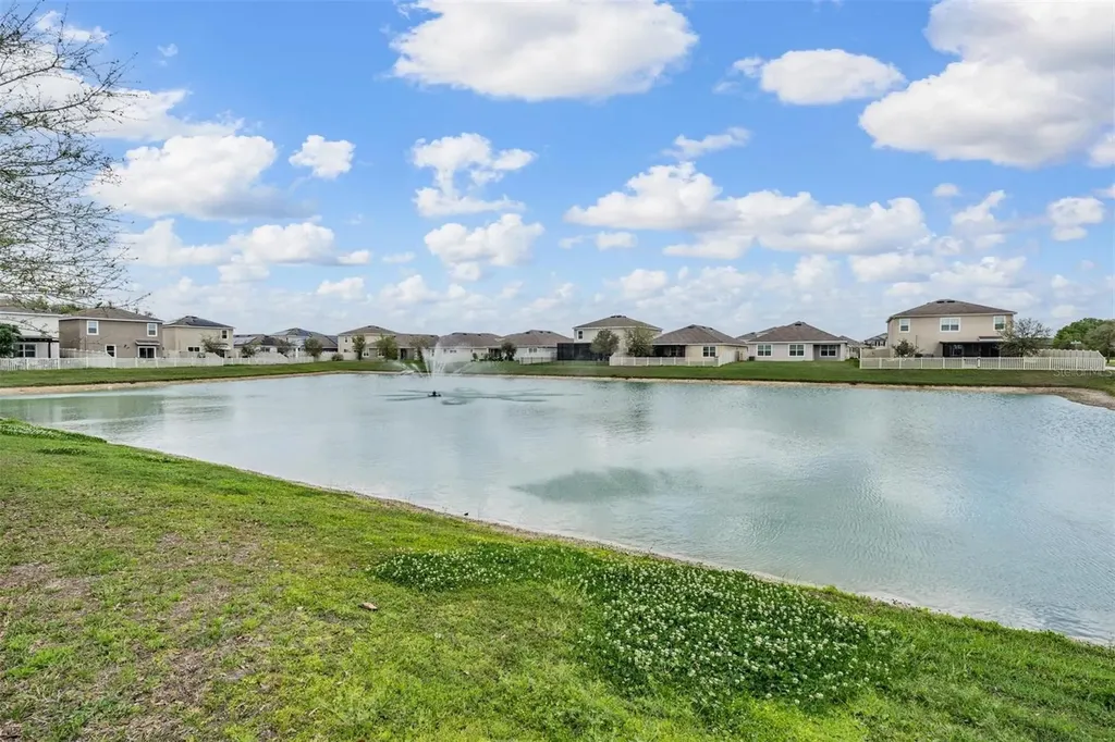 32699 Dashel Palm Lane Wesley Chapel FL 33543
