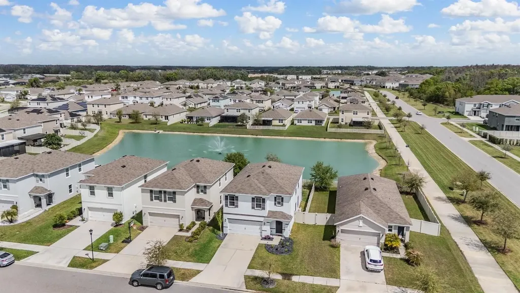 32699 Dashel Palm Lane Wesley Chapel FL 33543