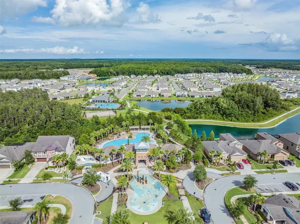 32699 Dashel Palm Lane Wesley Chapel FL 33543