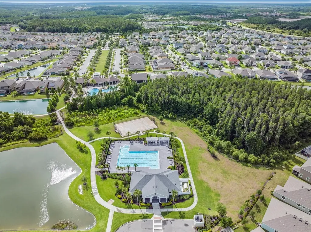 32699 Dashel Palm Lane Wesley Chapel FL 33543
