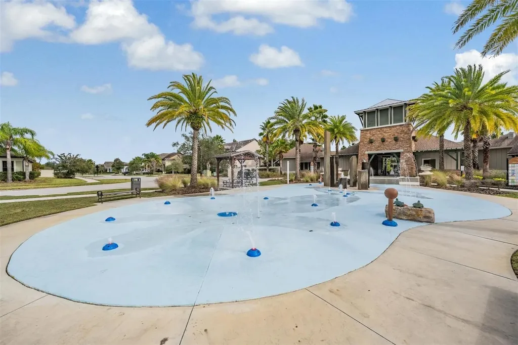 32699 Dashel Palm Lane Wesley Chapel FL 33543