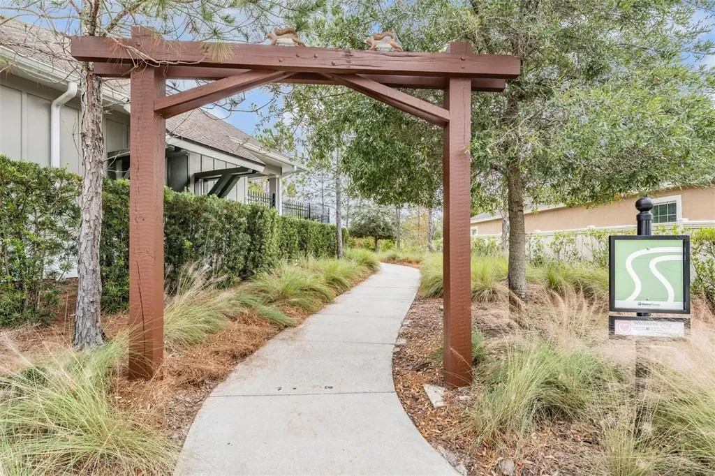 32699 Dashel Palm Lane Wesley Chapel FL 33543