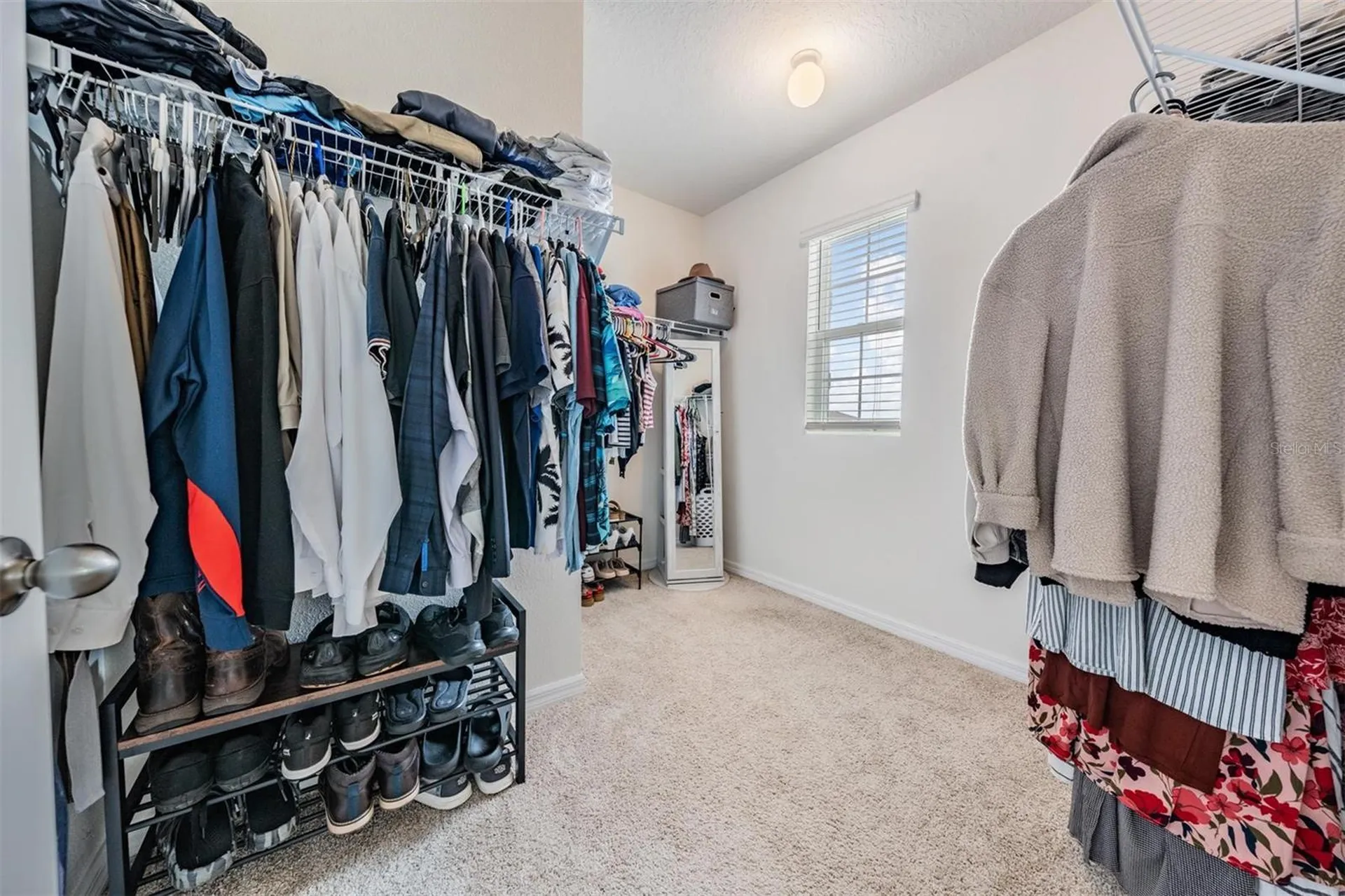 32699 Dashel Palm Lane Wesley Chapel FL 33543