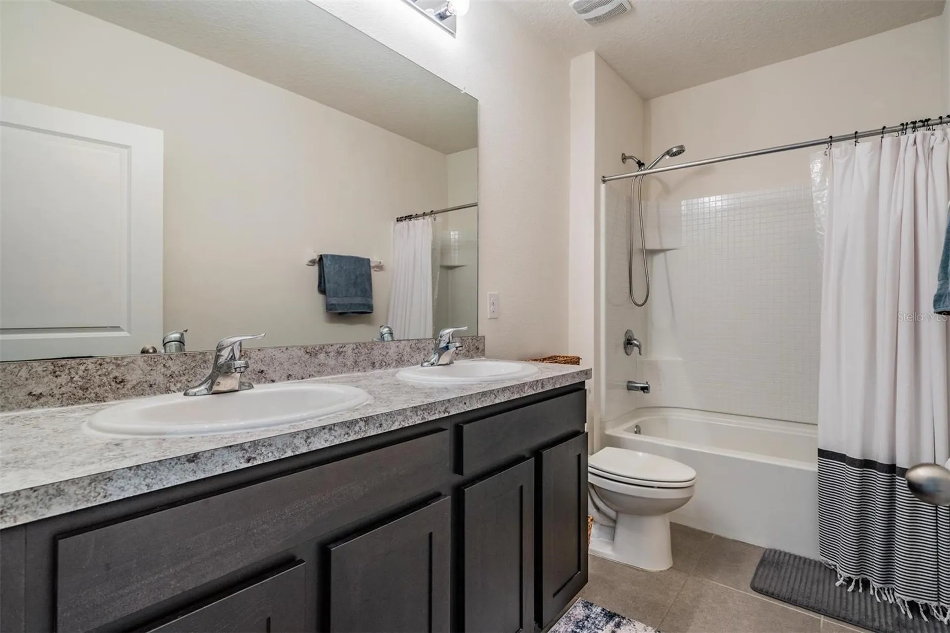 32699 Dashel Palm Lane Wesley Chapel FL 33543