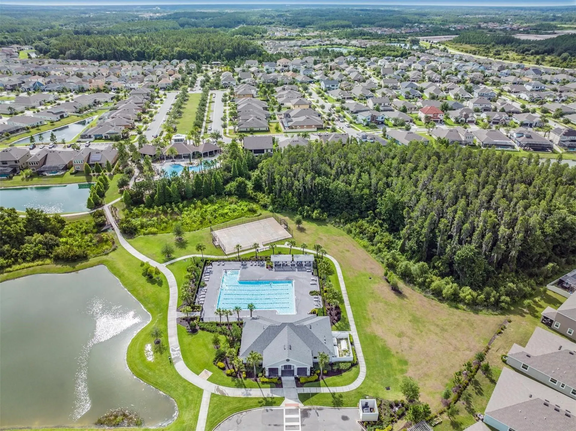 32699 Dashel Palm Lane Wesley Chapel FL 33543