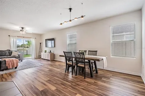 32699 Dashel Palm Lane Wesley Chapel FL 33543