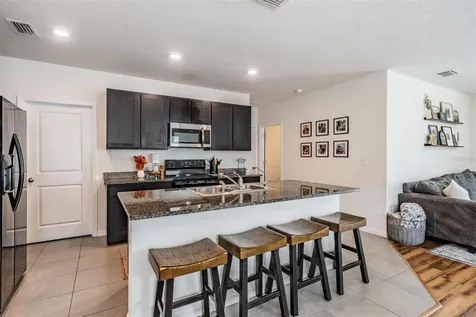 32699 Dashel Palm Lane Wesley Chapel FL 33543