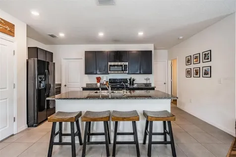 32699 Dashel Palm Lane Wesley Chapel FL 33543