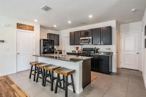 32699 Dashel Palm Lane Wesley Chapel FL 33543