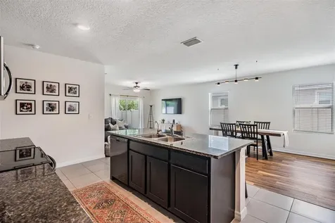 32699 Dashel Palm Lane Wesley Chapel FL 33543