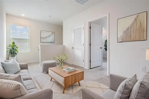 32699 Dashel Palm Lane Wesley Chapel FL 33543