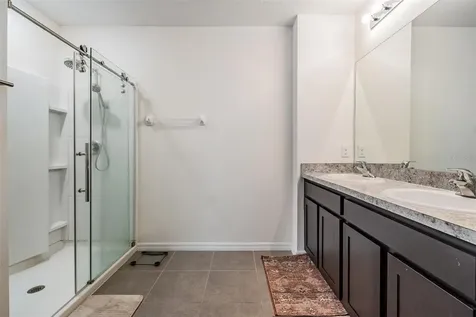 32699 Dashel Palm Lane Wesley Chapel FL 33543