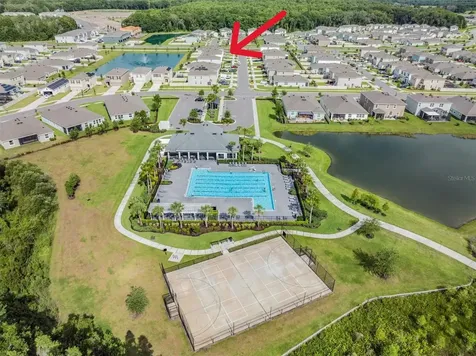 32699 Dashel Palm Lane Wesley Chapel FL 33543