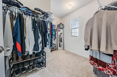 32699 Dashel Palm Lane Wesley Chapel FL 33543