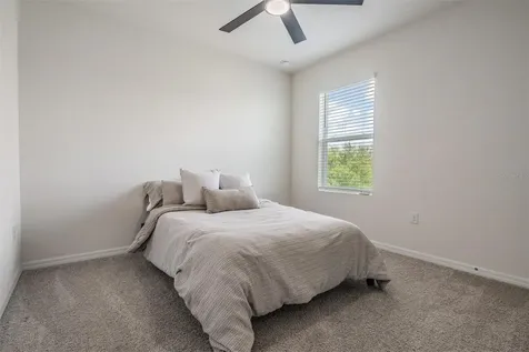 32699 Dashel Palm Lane Wesley Chapel FL 33543