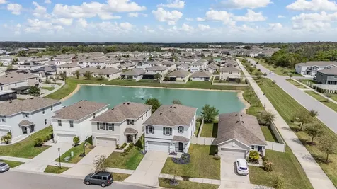 32699 Dashel Palm Lane Wesley Chapel FL 33543