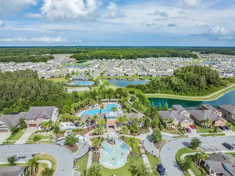 32699 Dashel Palm Lane Wesley Chapel FL 33543