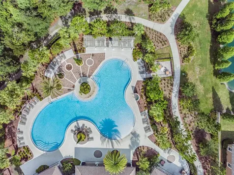 32699 Dashel Palm Lane Wesley Chapel FL 33543