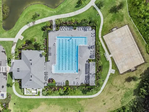 32699 Dashel Palm Lane Wesley Chapel FL 33543