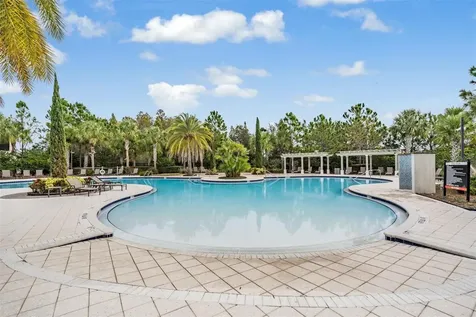 32699 Dashel Palm Lane Wesley Chapel FL 33543