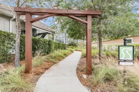 32699 Dashel Palm Lane Wesley Chapel FL 33543