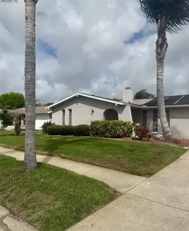 8135 Brown Pelican Avenue New Port Richey FL 34653
