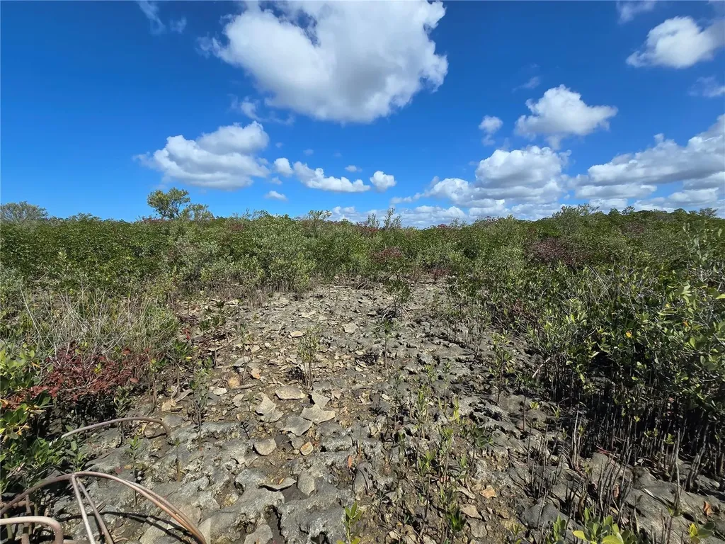 Crystal River FL 34429