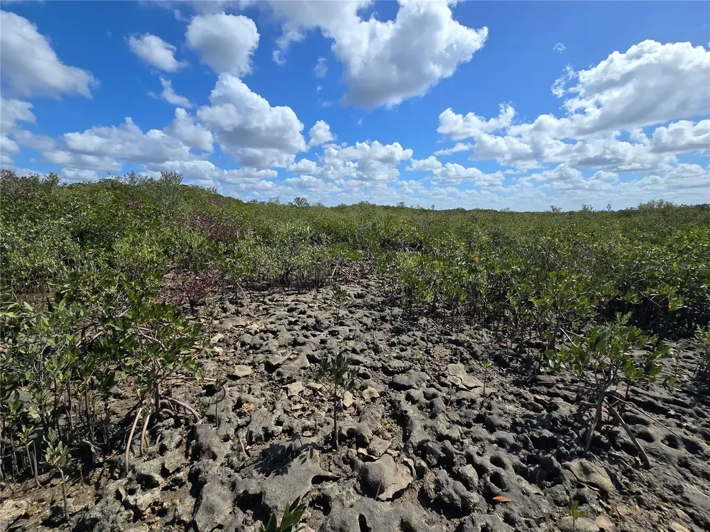 Crystal River FL 34429