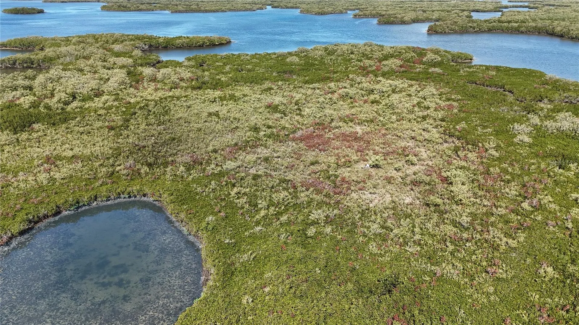 Crystal River FL 34429