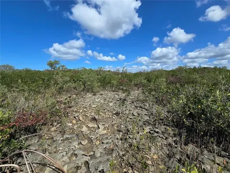 Crystal River FL 34429