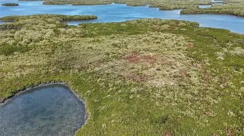 Crystal River FL 34429