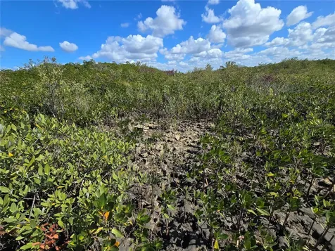 Crystal River FL 34429