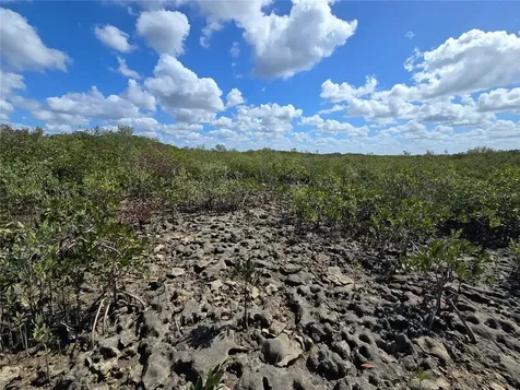 Crystal River FL 34429