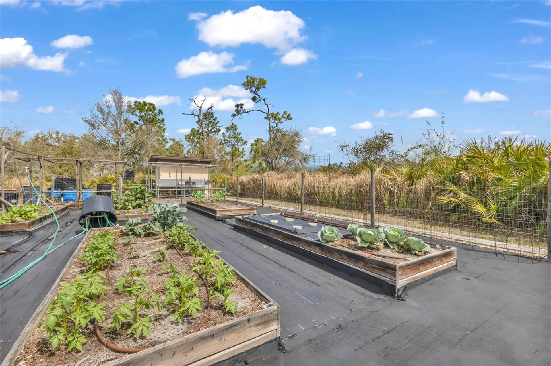 29350 Sam Way Punta Gorda FL 33982