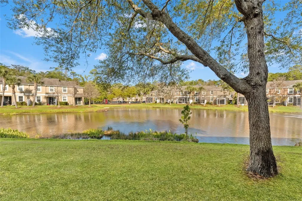 12581 Streamdale Drive Tampa FL 33626