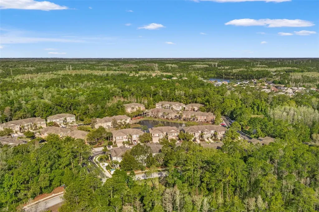 12581 Streamdale Drive Tampa FL 33626