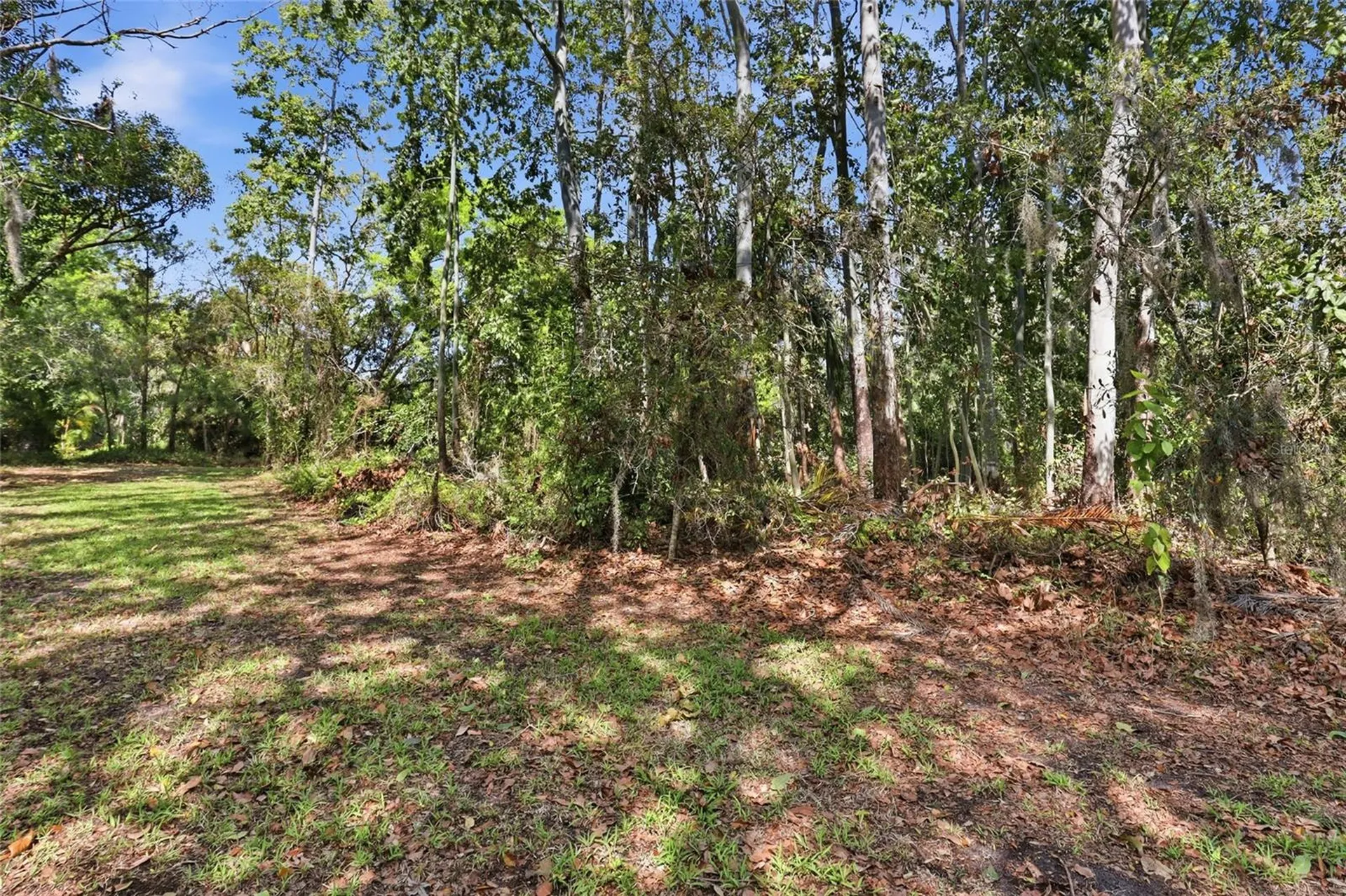 7336 Curlew Street Sarasota FL 34241