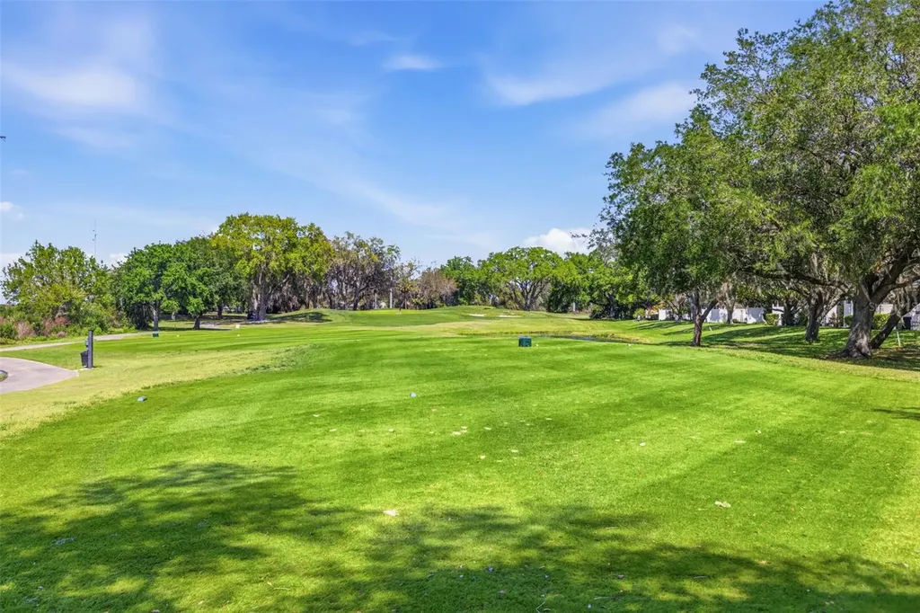 9651 Venturi Drive Trinity FL 34655