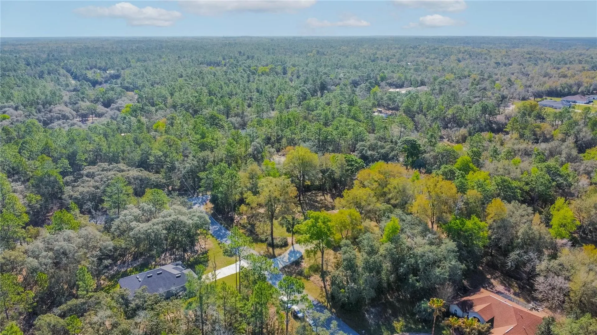 826 E Gaines Lane Hernando FL 34442