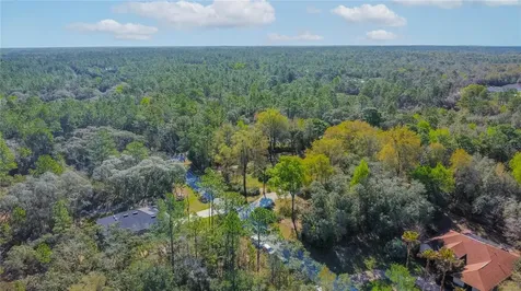 826 E Gaines Lane Hernando FL 34442