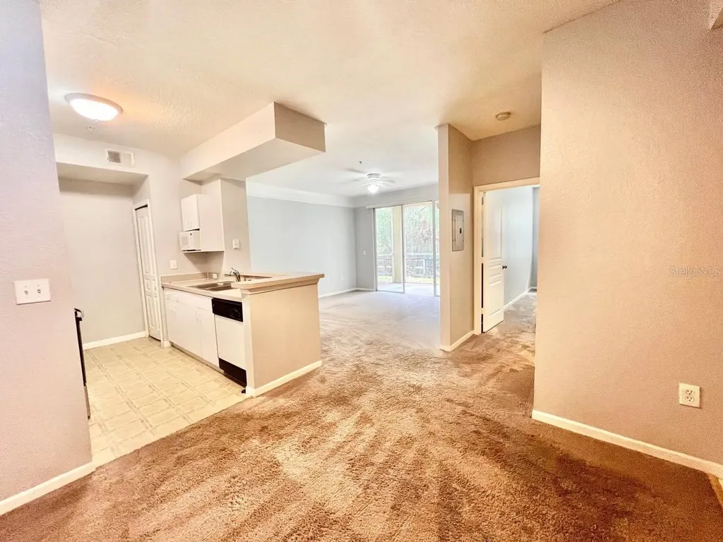 17110 Carrington Park Drive Tampa FL 33647