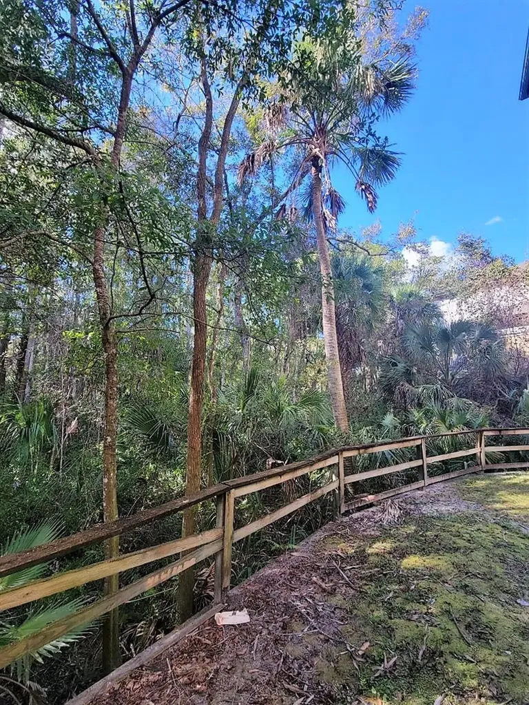 17110 Carrington Park Drive Tampa FL 33647
