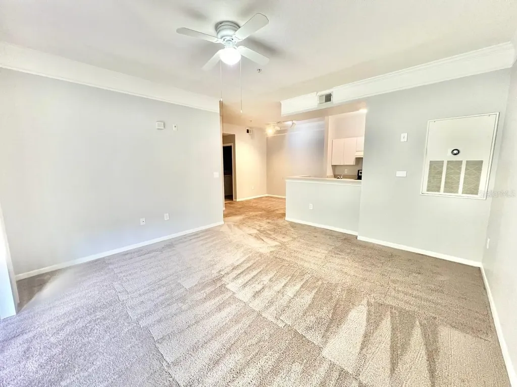 17110 Carrington Park Drive Tampa FL 33647