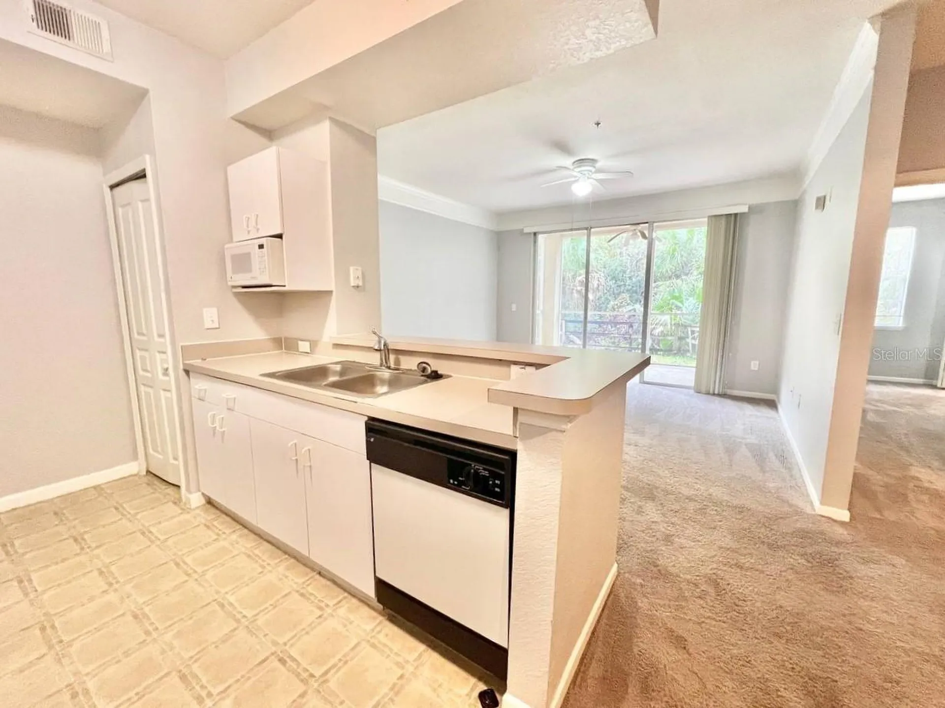 17110 Carrington Park Drive Tampa FL 33647