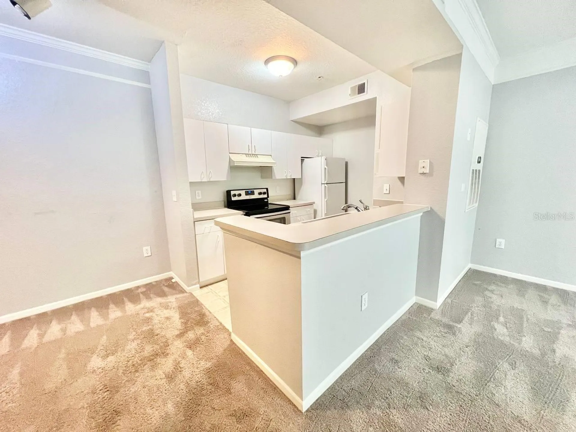 17110 Carrington Park Drive Tampa FL 33647