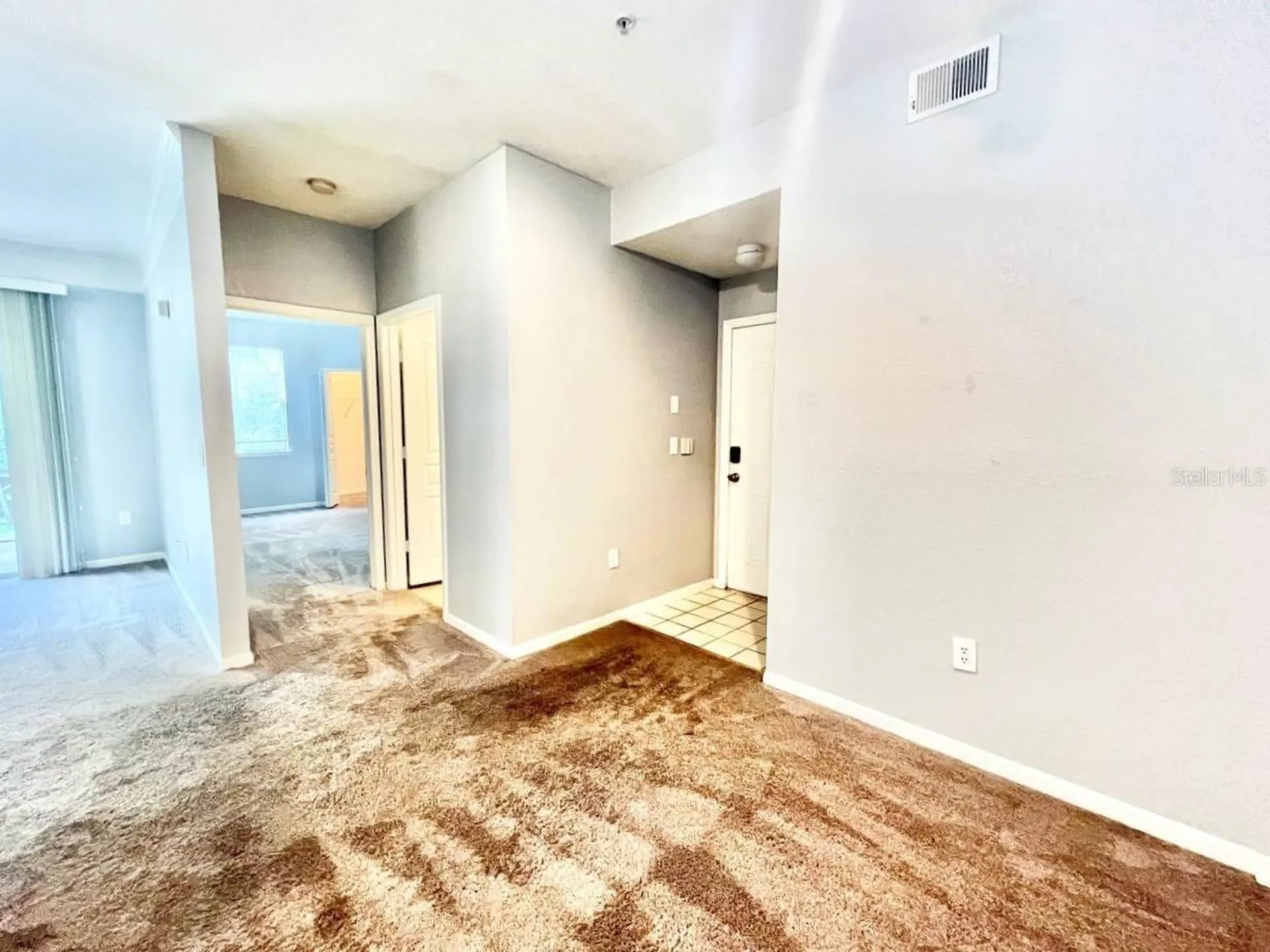 17110 Carrington Park Drive Tampa FL 33647