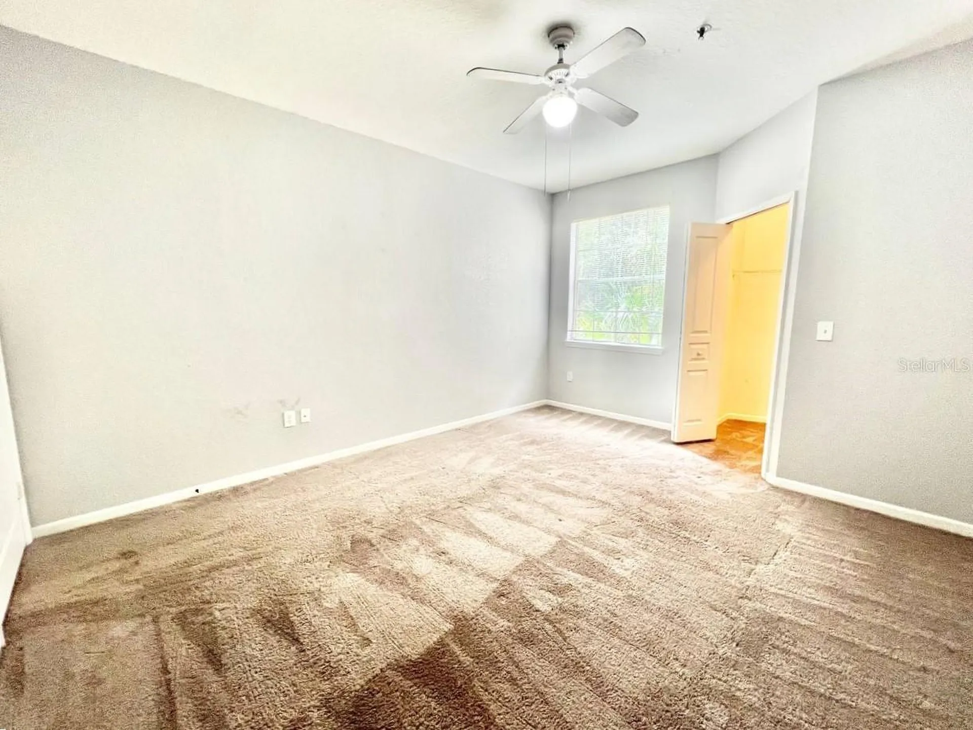 17110 Carrington Park Drive Tampa FL 33647