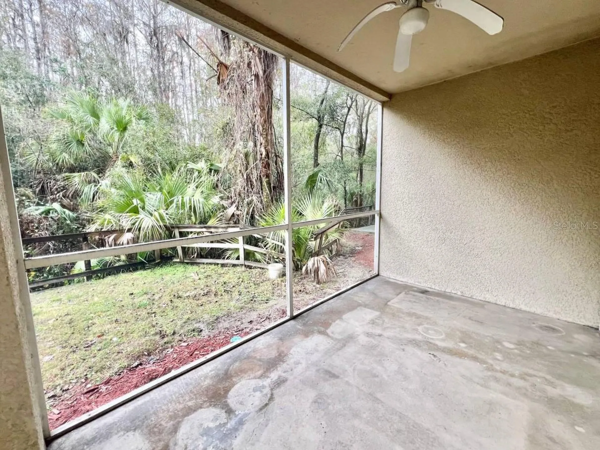 17110 Carrington Park Drive Tampa FL 33647