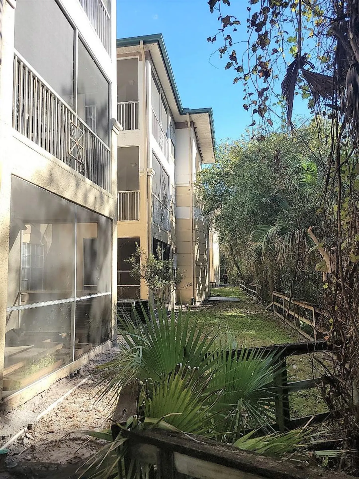 17110 Carrington Park Drive Tampa FL 33647