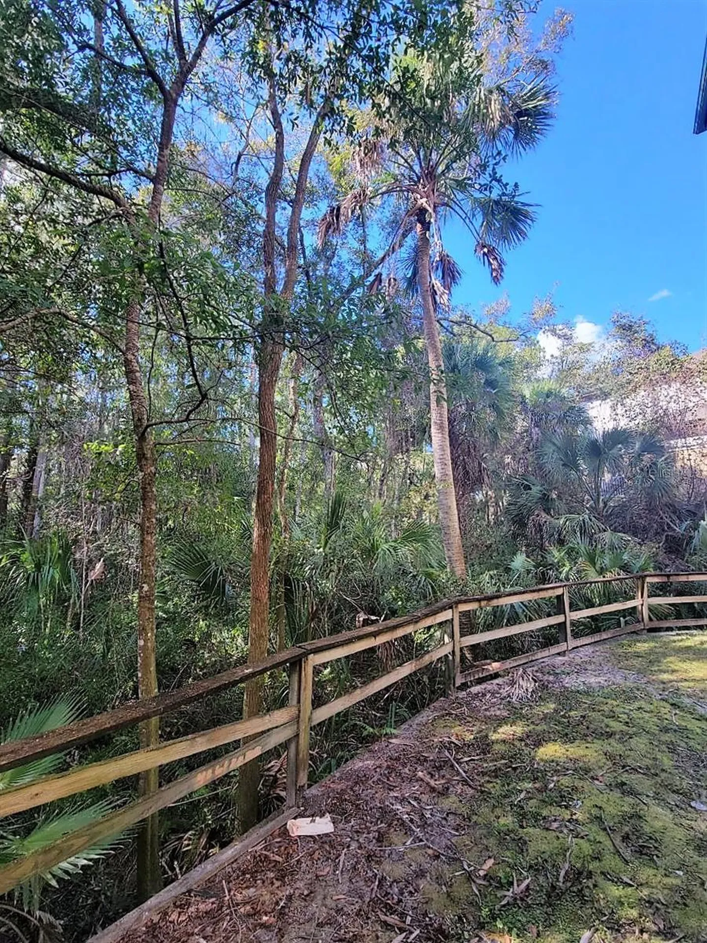 17110 Carrington Park Drive Tampa FL 33647